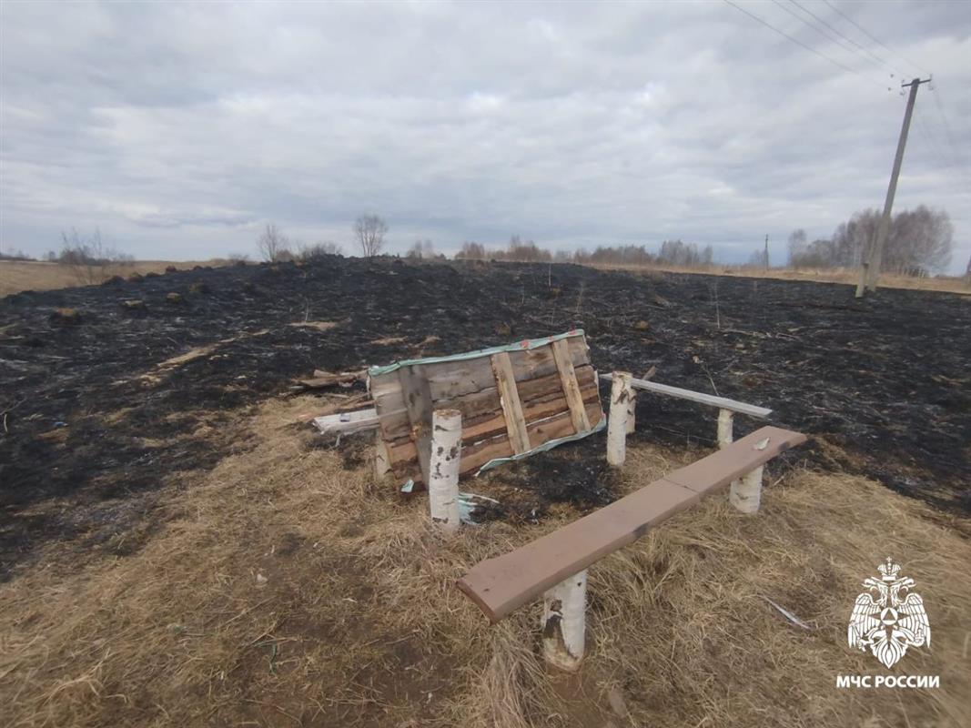 Причиной пала травы на костромском поле стал непотушенный после пикника костёр 