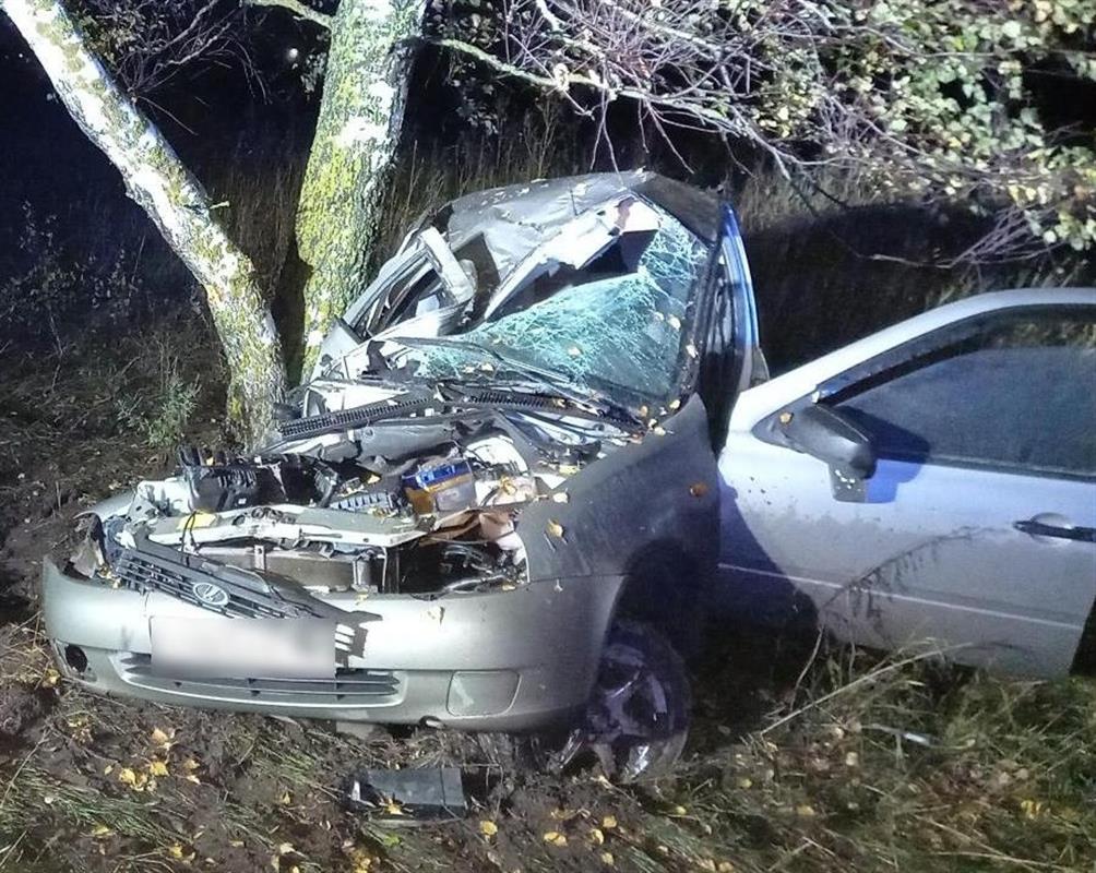 В Костромском районе водителя «Лады» госпитализировали после столкновения с деревом
