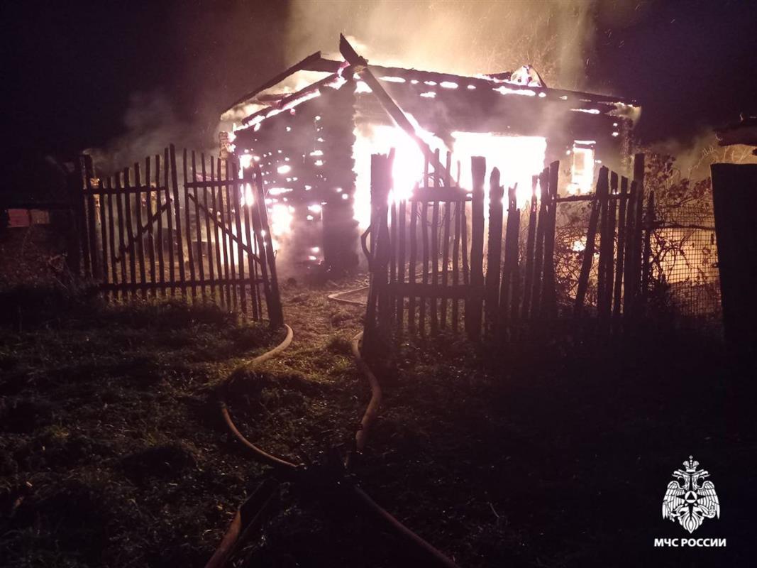 При пожаре в дачном доме в костромской деревне погиб мужчина
