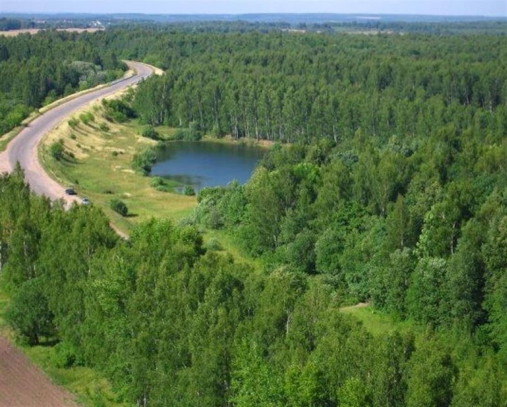 Костромская область - в числе лучших регионов по охране лесов от пожаров
