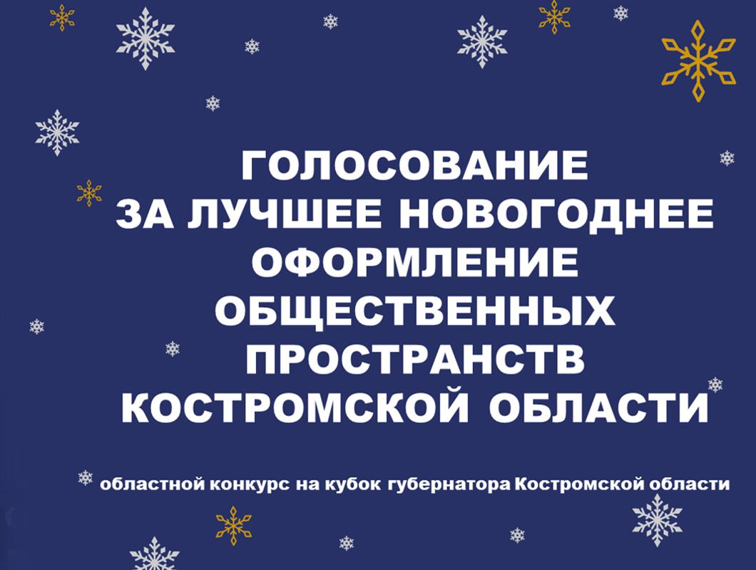Костромичи выбирают лучшее новогоднее оформление городских территорий