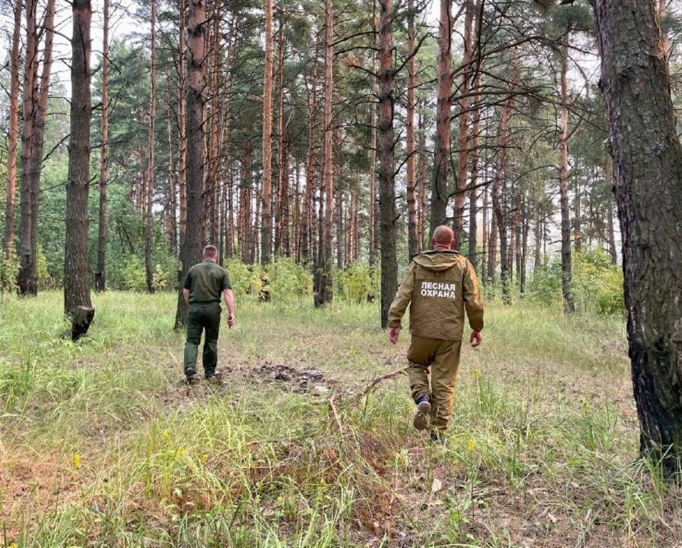 В выходные дни в Костромской области прогнозируется высокий класс пожарной опасности