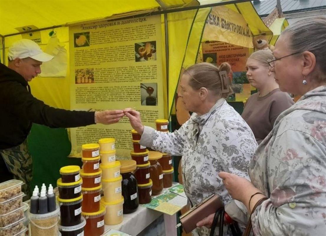 Первую тонну мёда продали пчеловоды на костромской ярмарке «Медовый спас»

