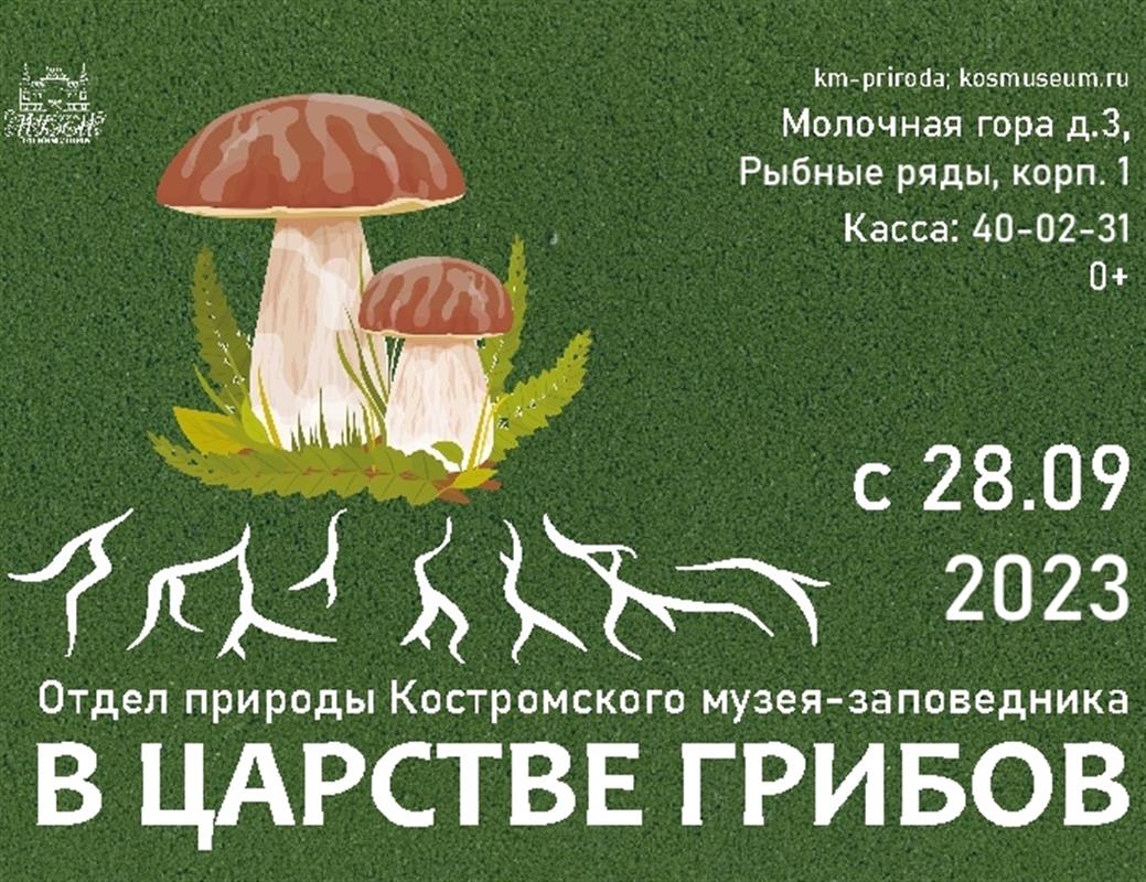 Секреты грибного царства можно узнать на выставке Костромского музея-заповедника