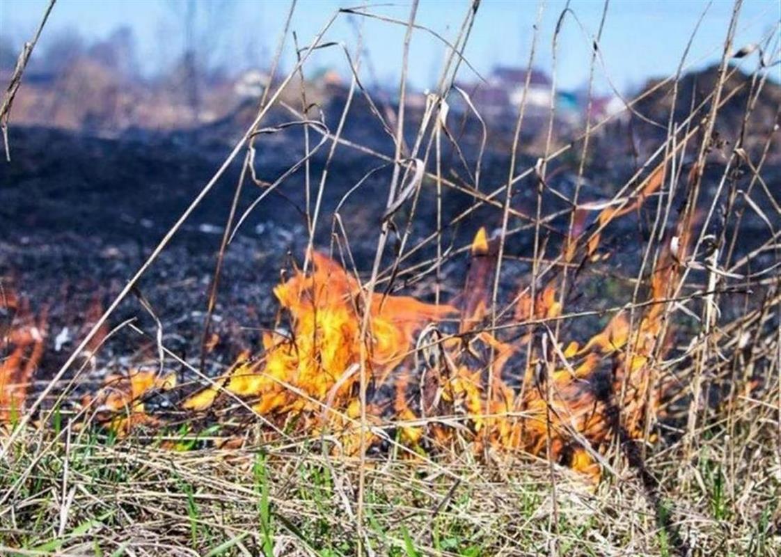Костромичей призывают строго соблюдать правила пожарной безопасности