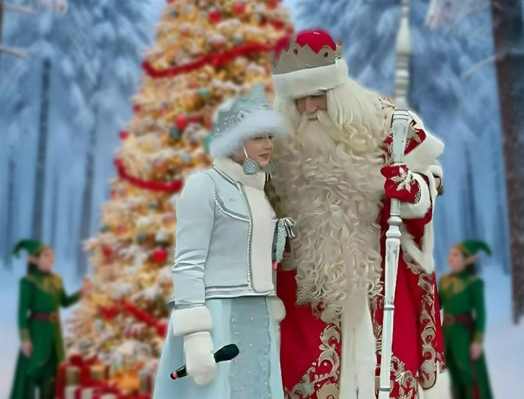 Костромичей приглашают в городские парки на встречу с Дедом Морозом 