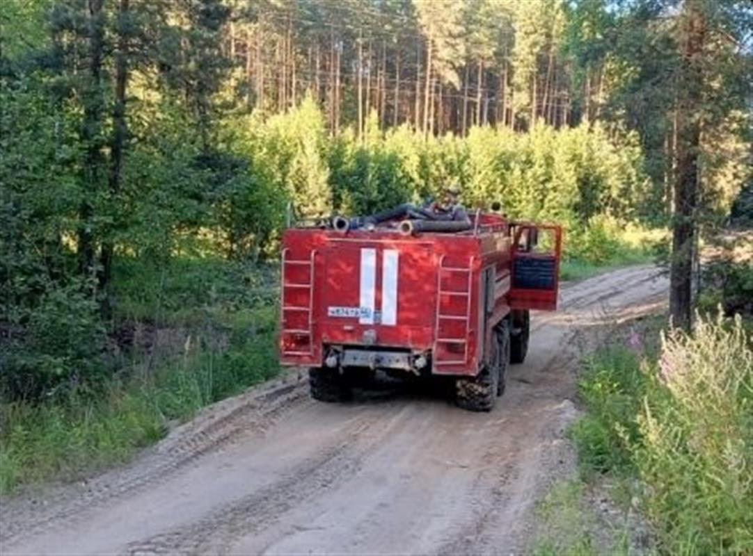В костромских лесах потушили ещё один природный пожар
