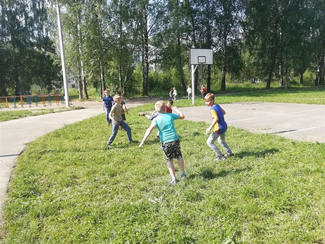Спортивные школы Костромы возобновляют работу.


