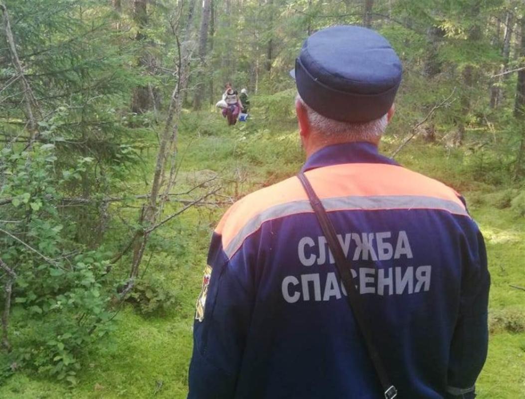 Спасатели назвали районы, где чаще всего теряются грибники