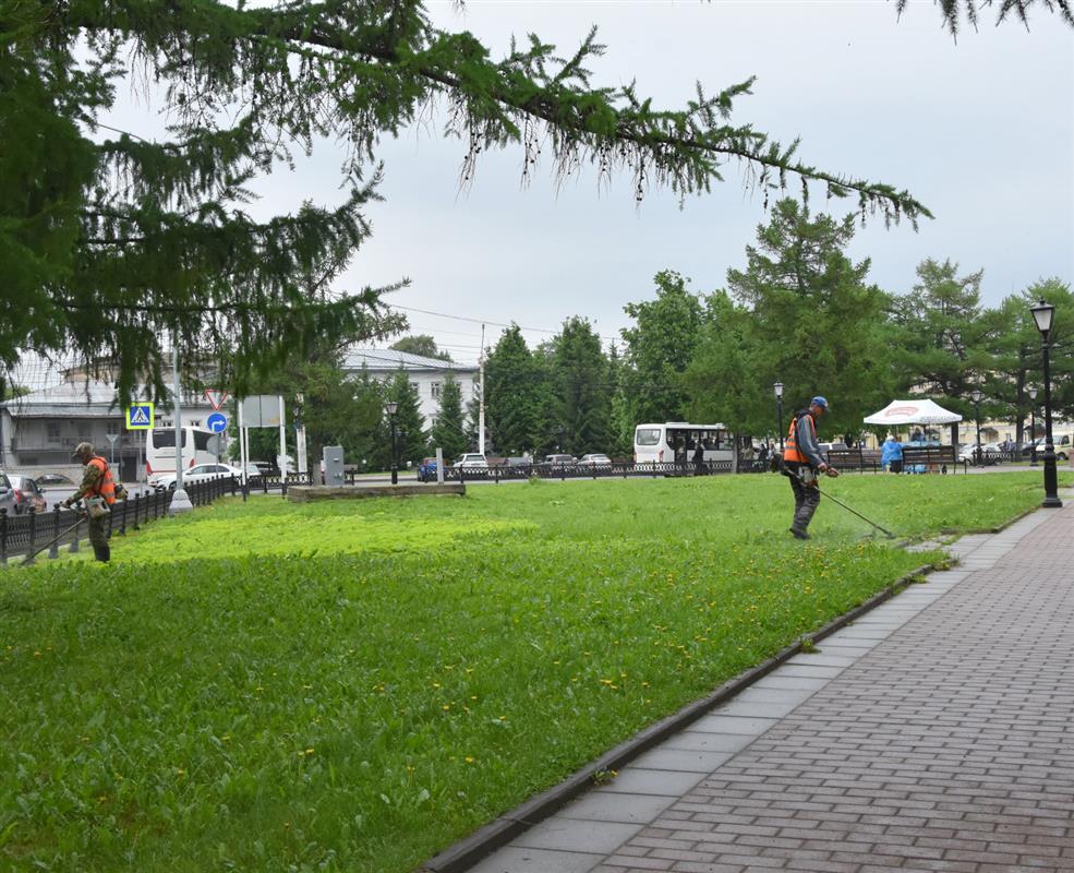 В Костроме начались окосы травы на общегородских территориях