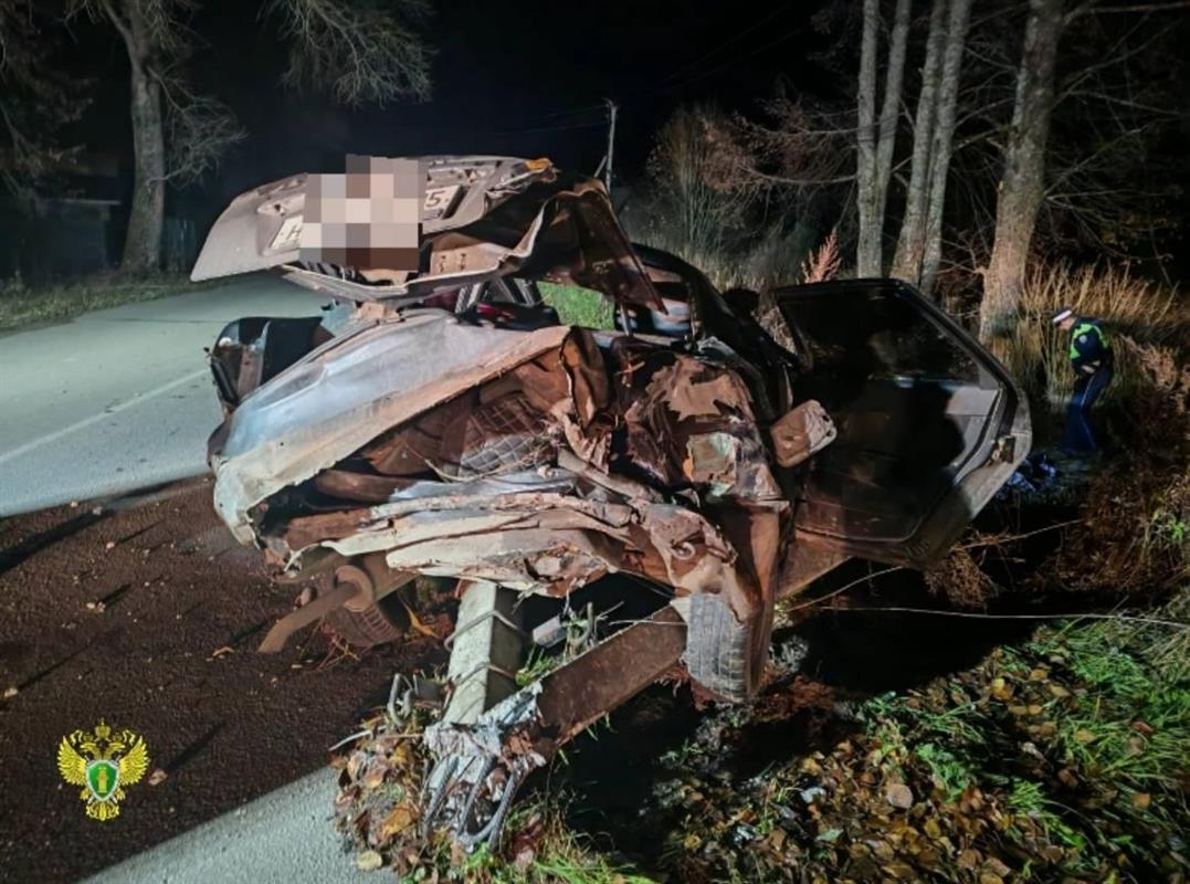 Ночью в костромском селе в результате ДТП погибла 14-летняя девушка 