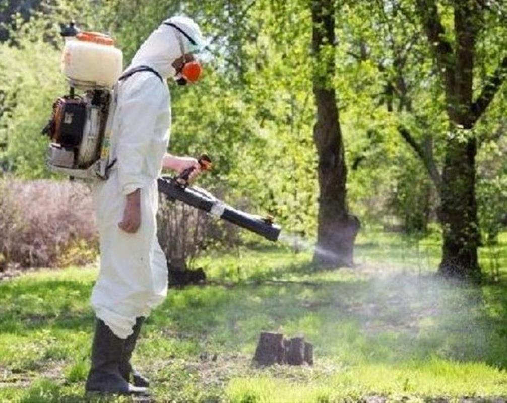 За неделю пять костромичей заразились опасными инфекциями после укуса клеща 