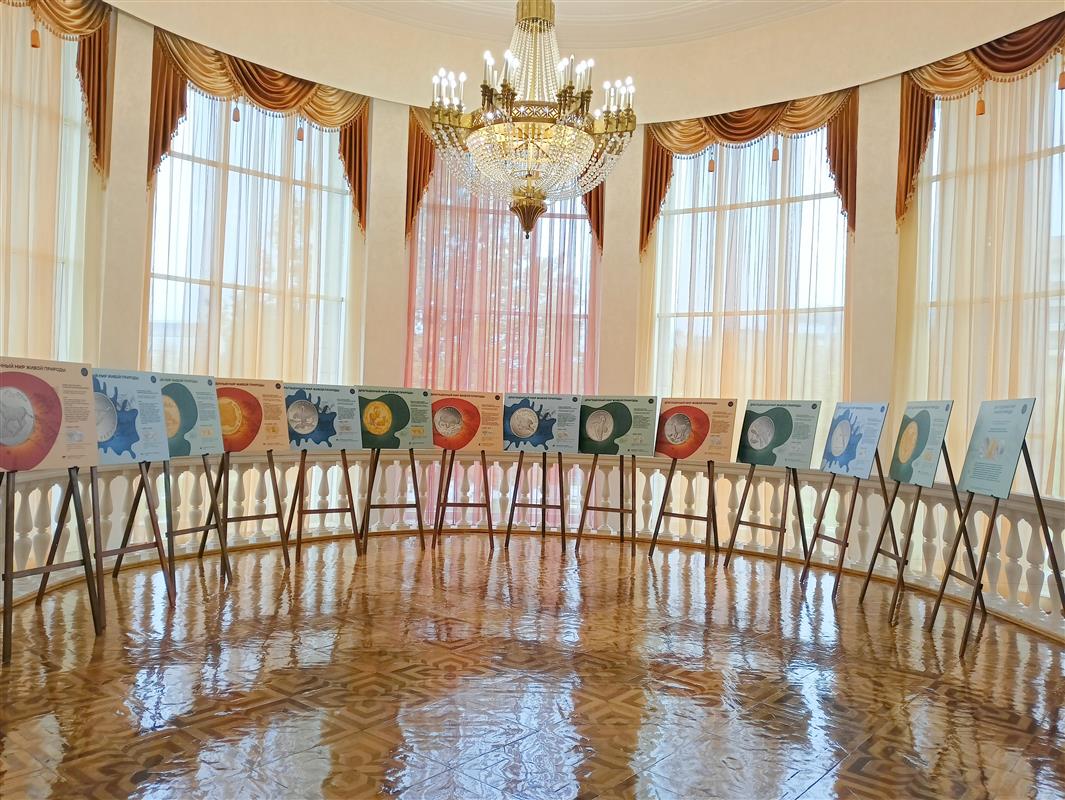Фотовыставка монет с редкими животными открылась в Костроме