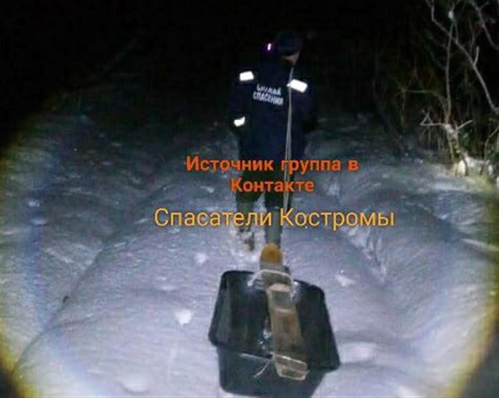 Костромские спасатели помогли лыжнику выбраться из ночного леса