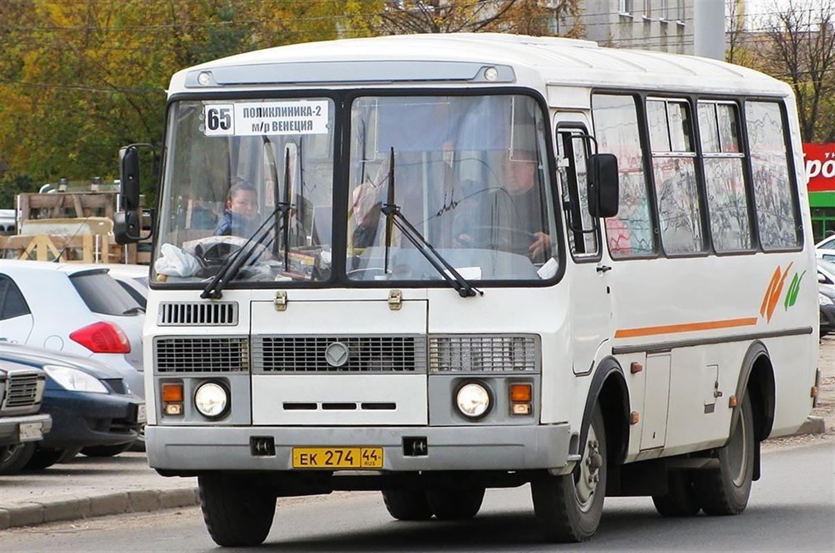В основной день голосования по поправкам в Конституцию пустят дополнительные автобусы 