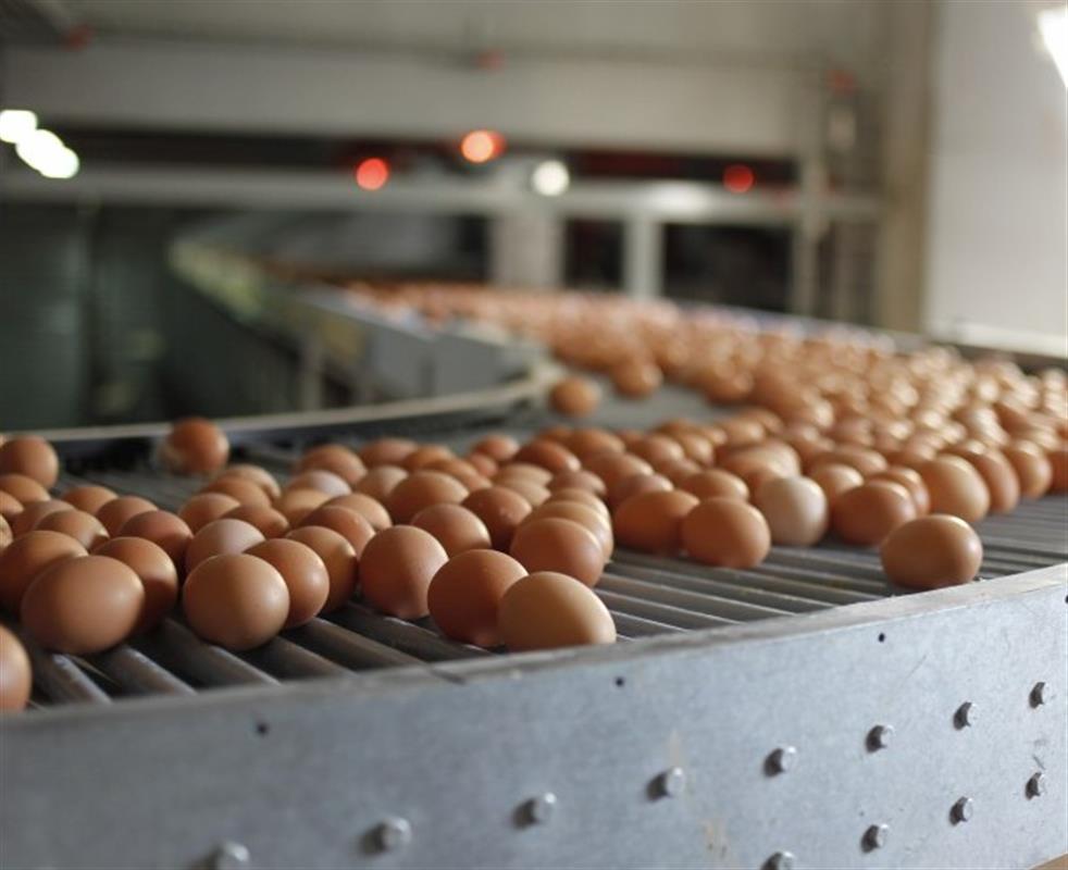Костромские производители снижают отпускные цены на некоторые продукты