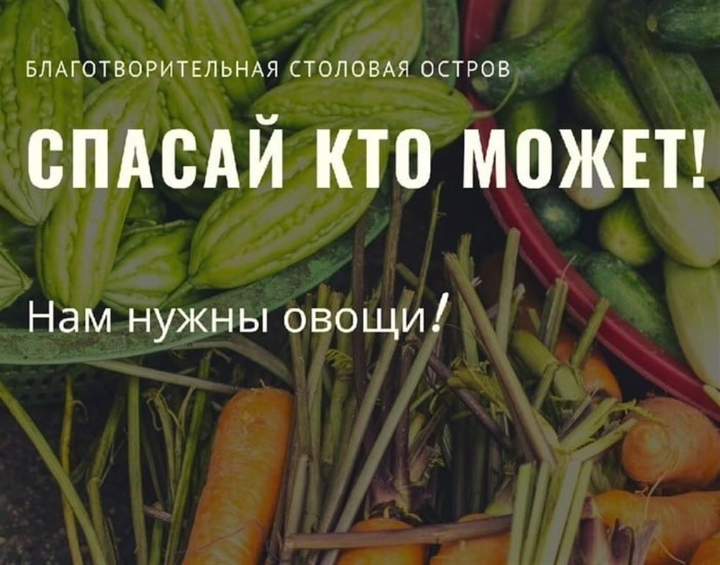 Благотворительная столовая «Остров» просит костромичей поделиться излишками урожая