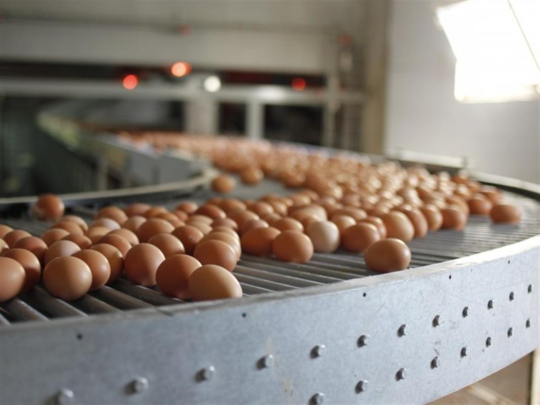 Цены на продукцию костромских сельхозпредприятий обсудили в администрации региона