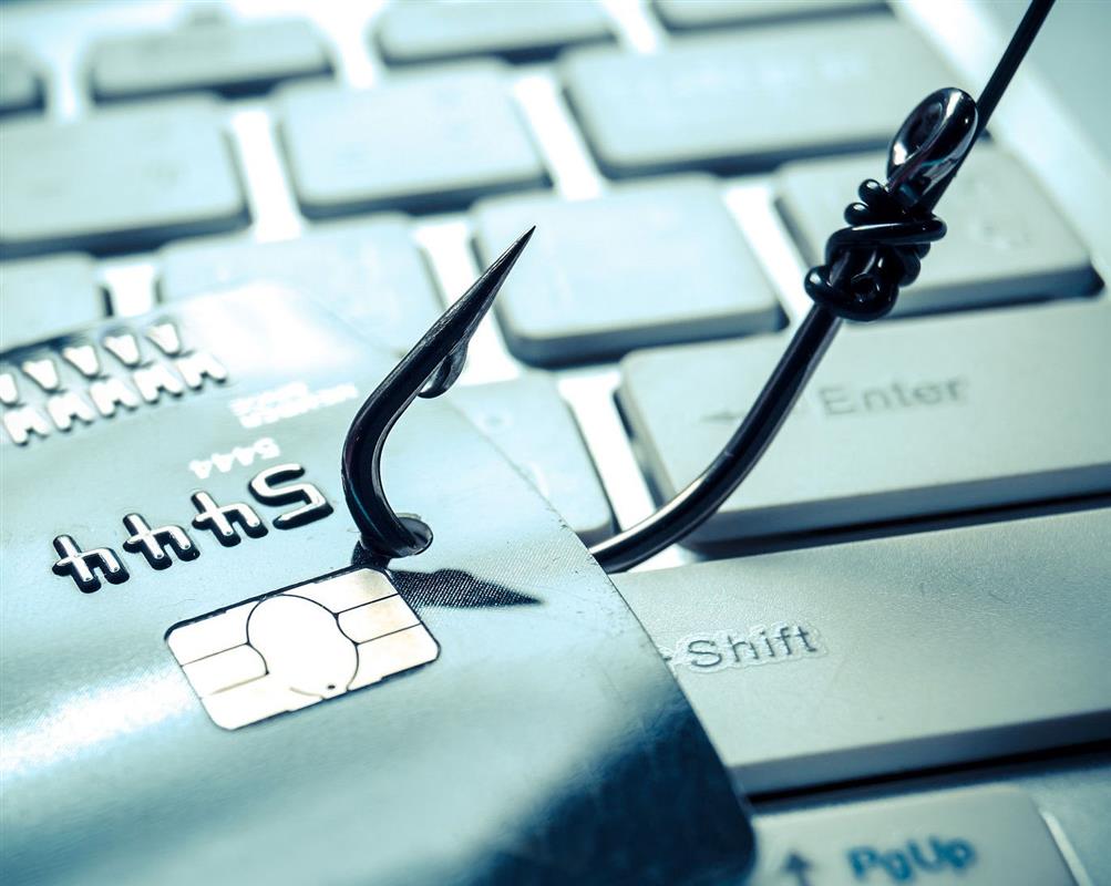 Костромские полицейские вычислили интернет-мошенника по ip-адресу