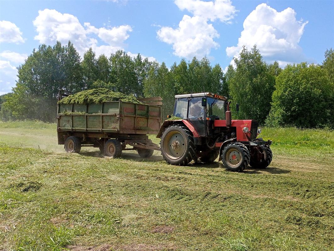 Костромские сельхозпредприятия завершают кормозаготовительную кампанию
