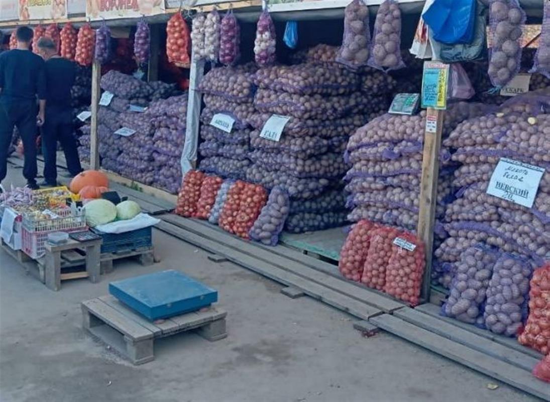 Осенние ярмарки сельхозпродукции работают в Костроме