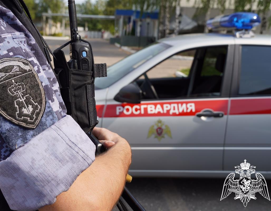 Сотрудники Росгвардии задержали мужчину, устроившего дебош в одном из костромских баров
