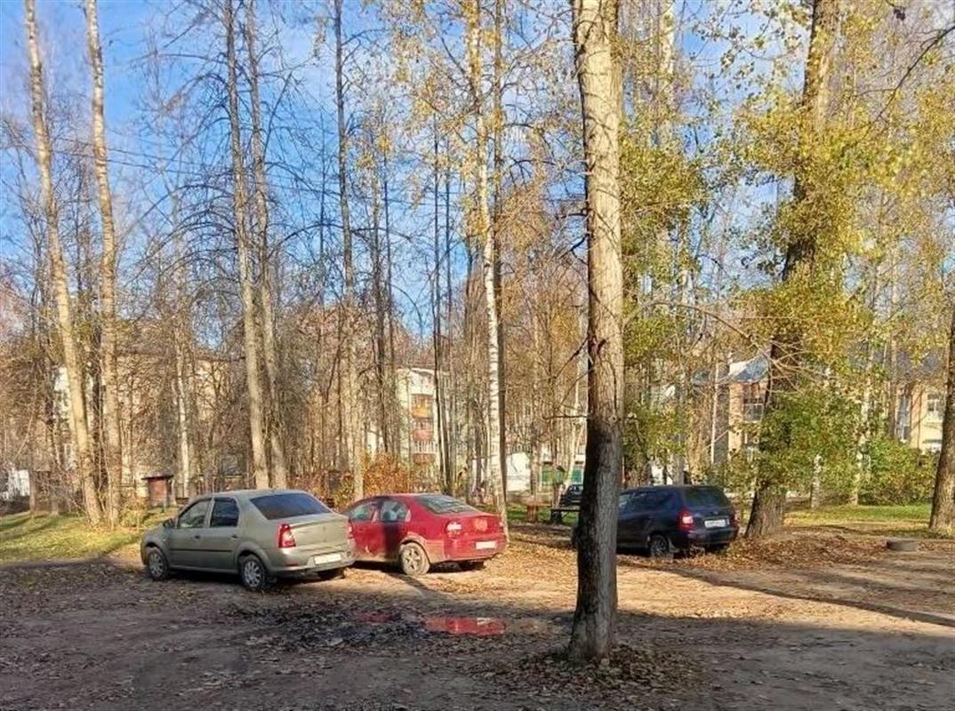Зелёную зону в костромском Черноречье очистят от припаркованных автомобилей