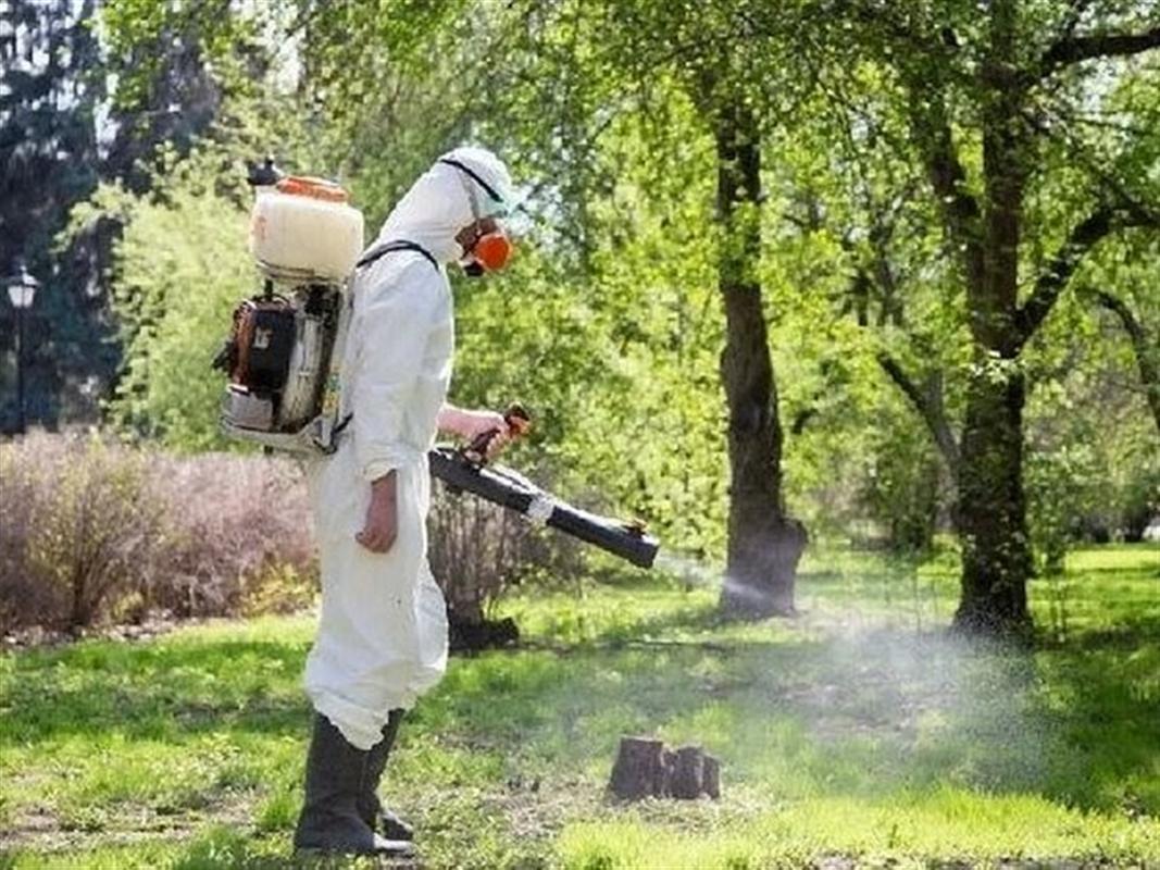 В Костроме началась акарицидная обработка городских территорий