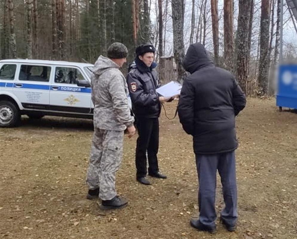 В отношении костромских лесозаготовителей возбуждено 11 уголовных дел