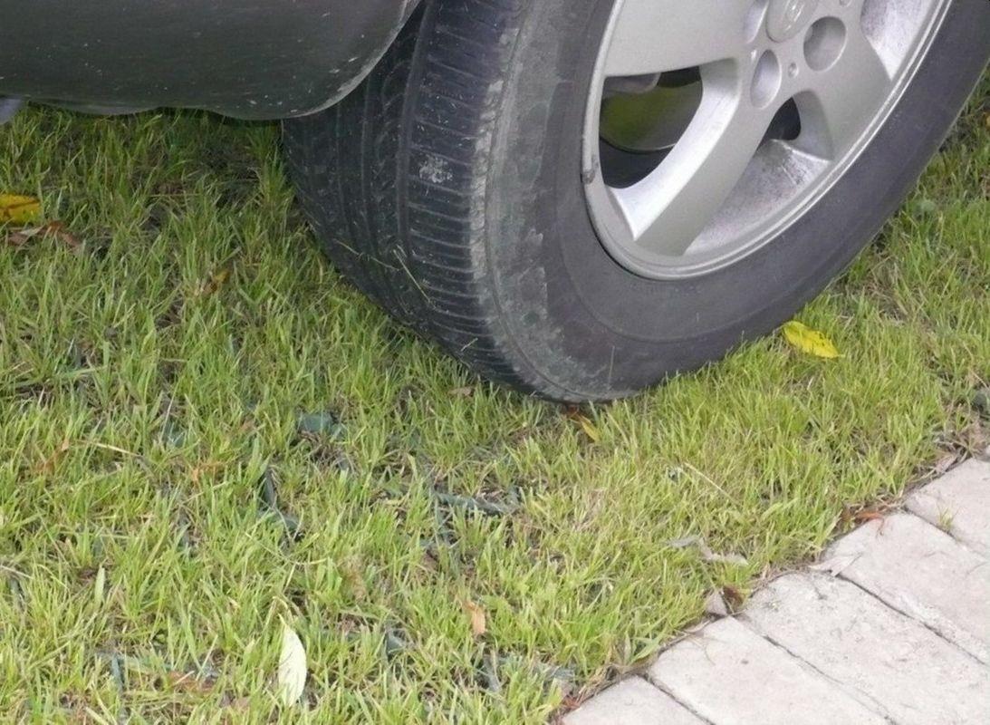 Газоны во дворах костромских многоэтажек под защитой «Народного инспектора»