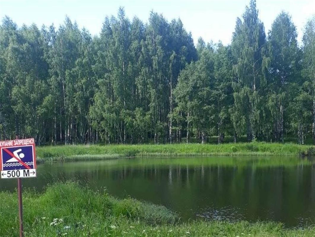 Костромичей штрафуют за купание под запрещающими знаками.