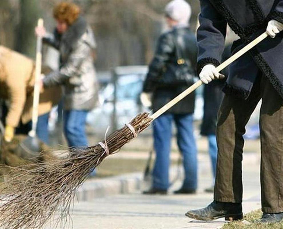 Более 4,6 тысячи костромичей приняли участие во всероссийском субботнике