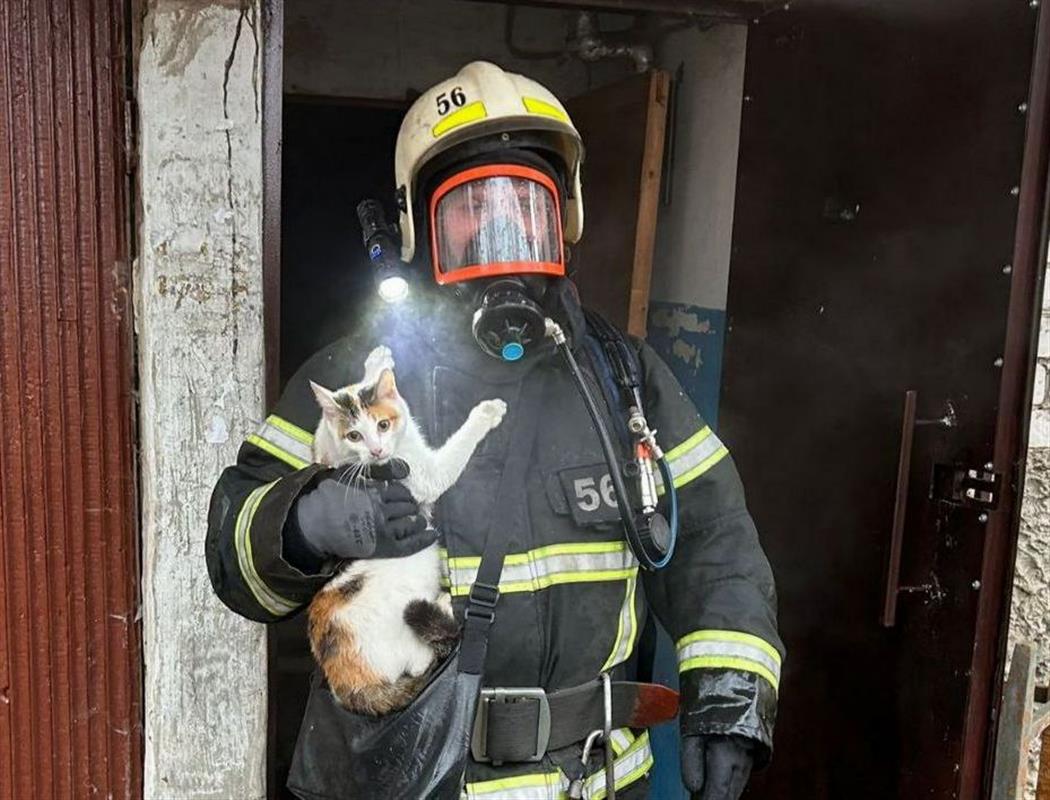 Забытый на плите чайник привёл к пожару в квартире жителя Костромской области