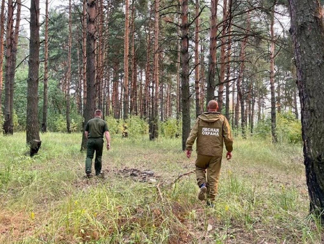 В Костромской области принято решение об отмене особого противопожарного режима