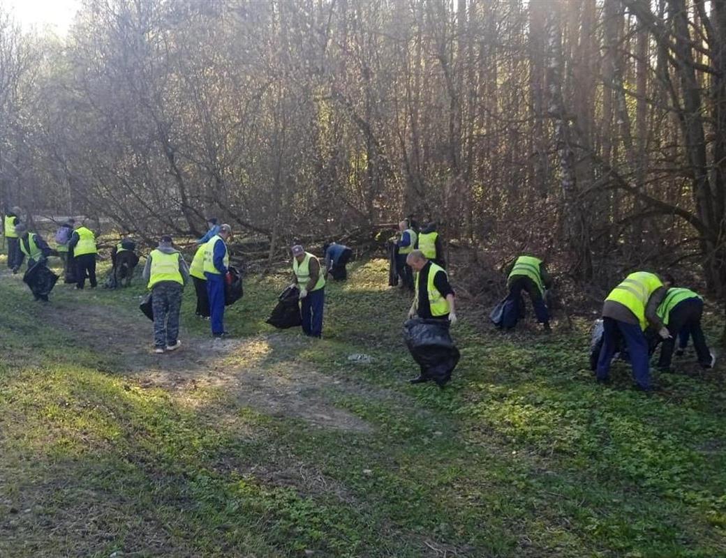 В Костроме проведут ещё одни большой субботник
