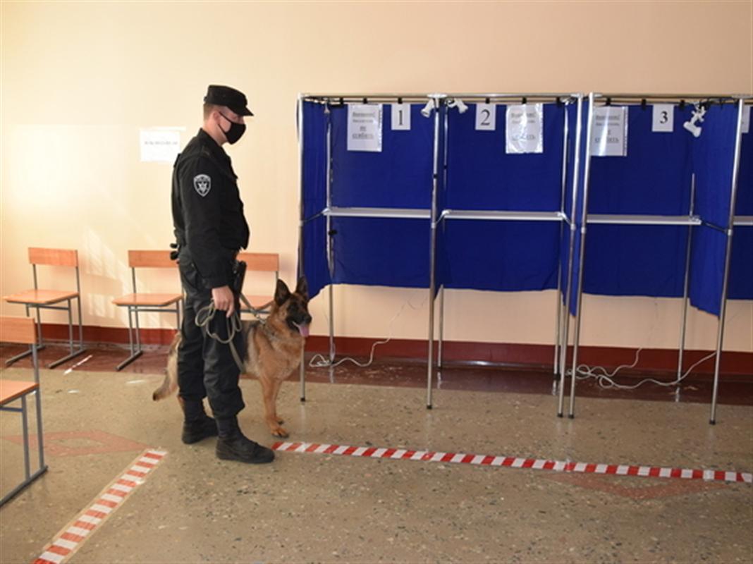 В дни голосования костромичей призывают быть максимально бдительными

