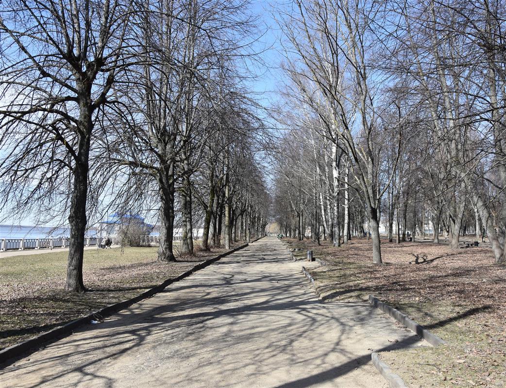 В Костроме начинается благоустройство волжской набережной 