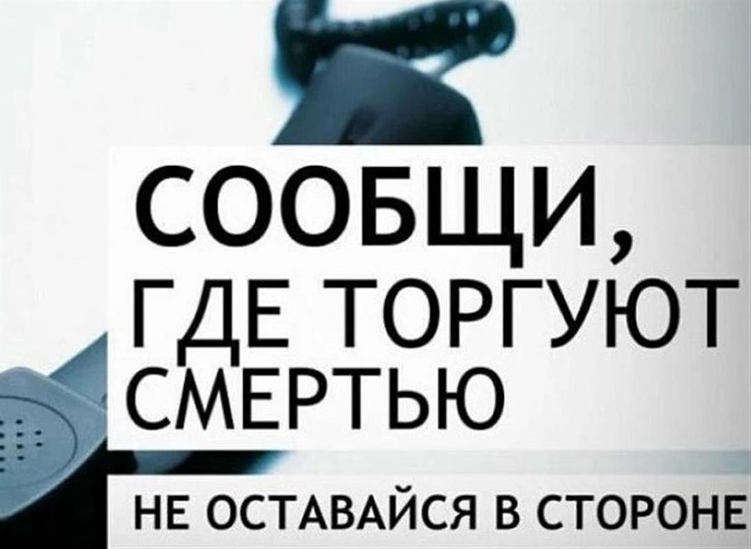 В Костроме дан старт акции «Сообщи, где торгуют смертью!»
