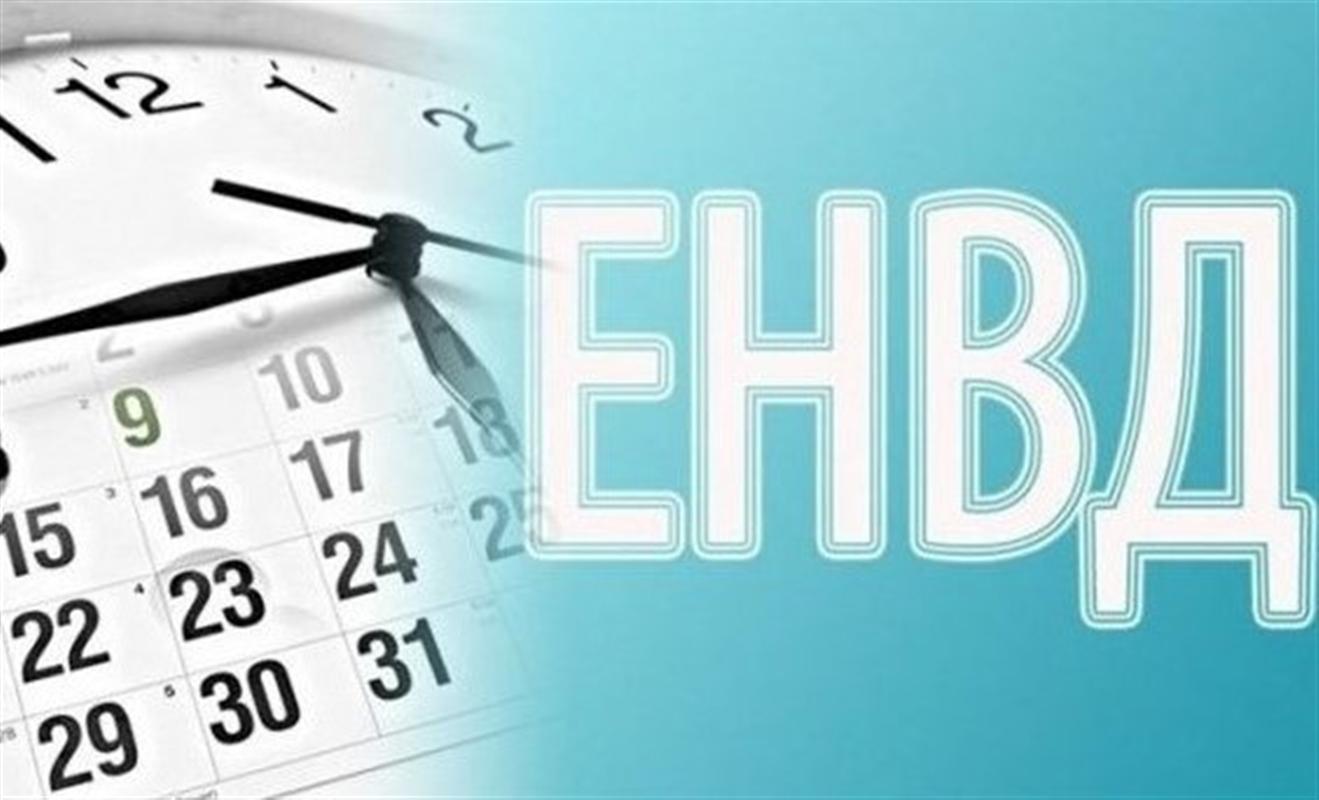 У костромских предпринимателей остается неделя для выбора нового налогового режима