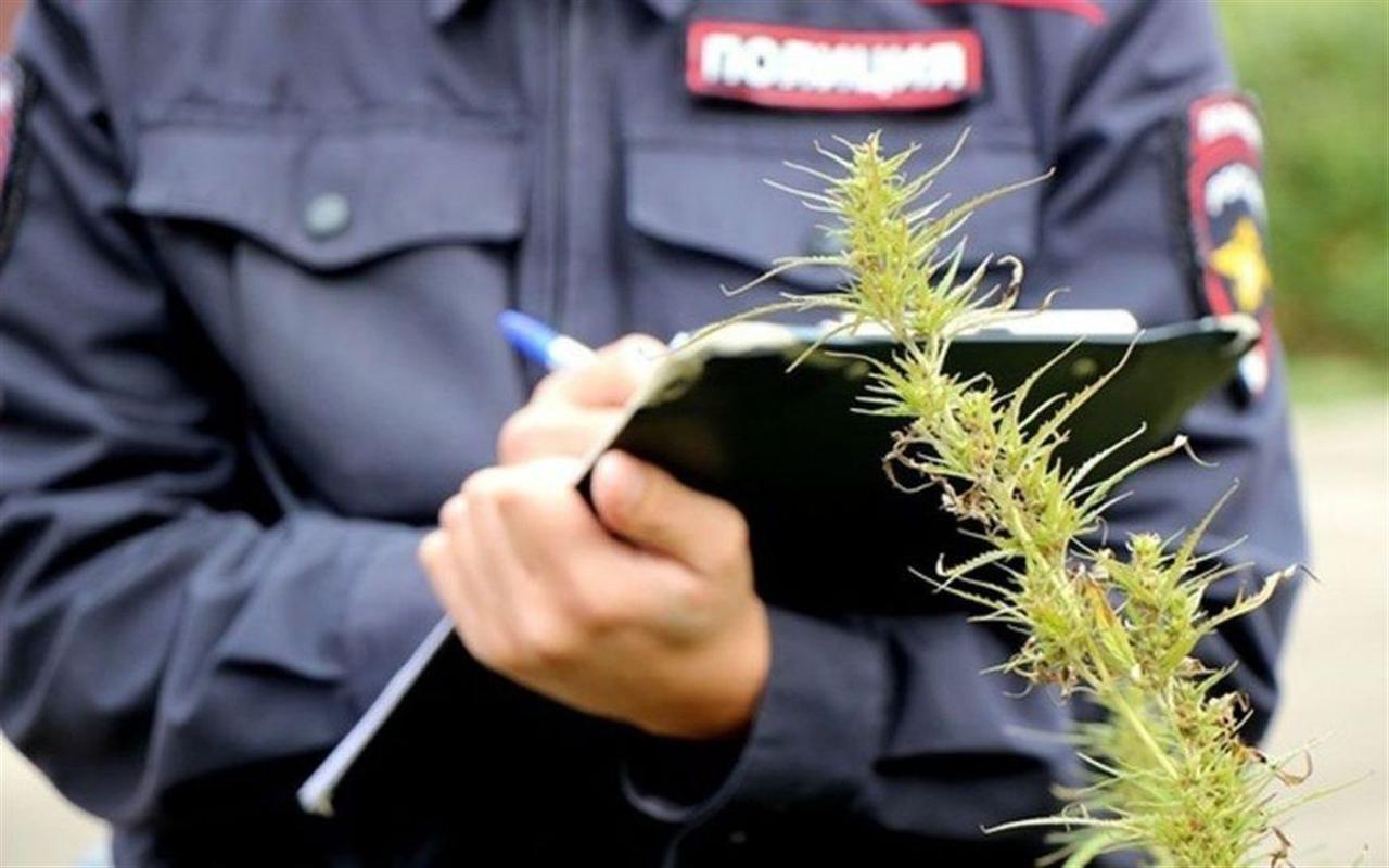 Огороды костромичей начали проверять полицейские 
