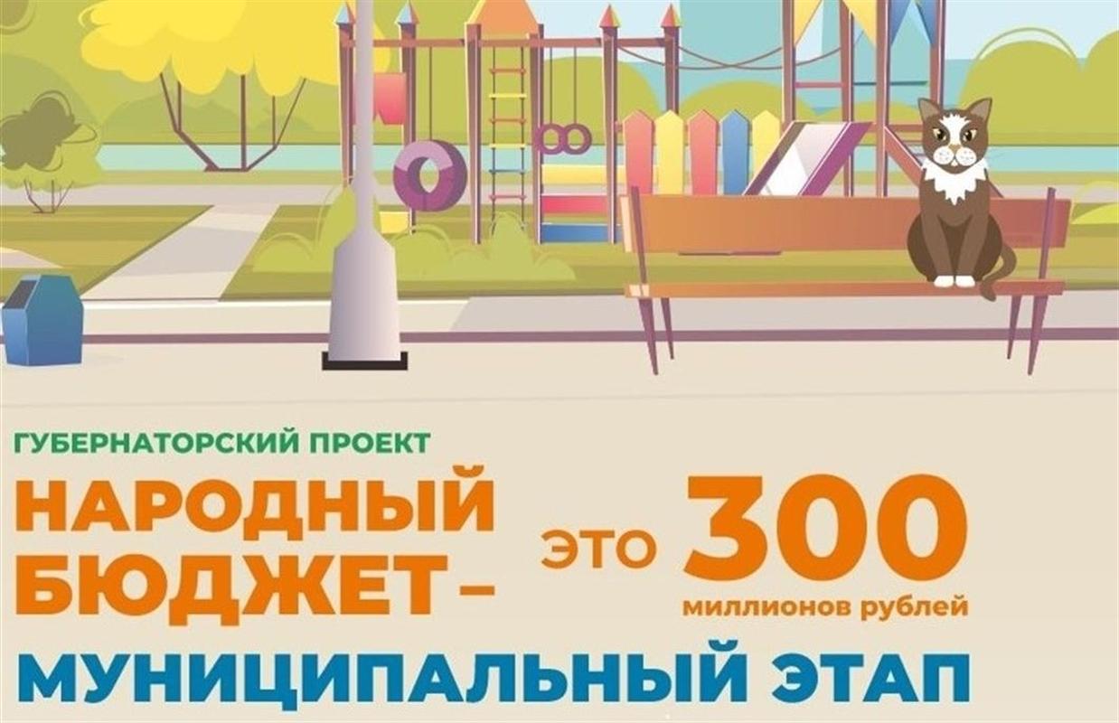 Где посмотреть все конкурсные проекты «Народного бюджета»?