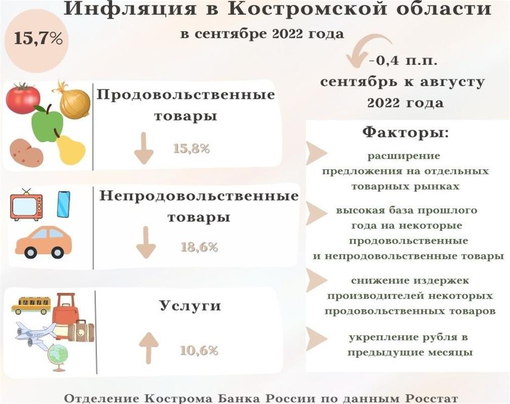 Высокая урожайность замедлила рост цен на костромских прилавках