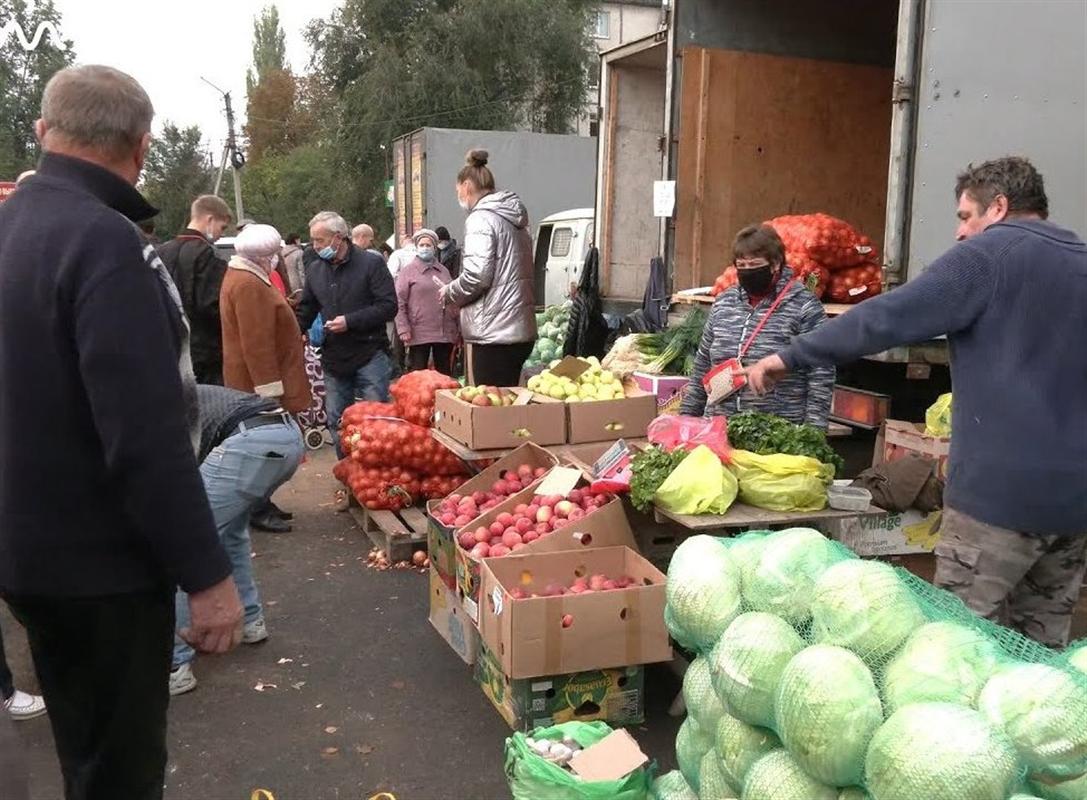 Продукцию местного производства костромичи могут купить на сельхозярмарках