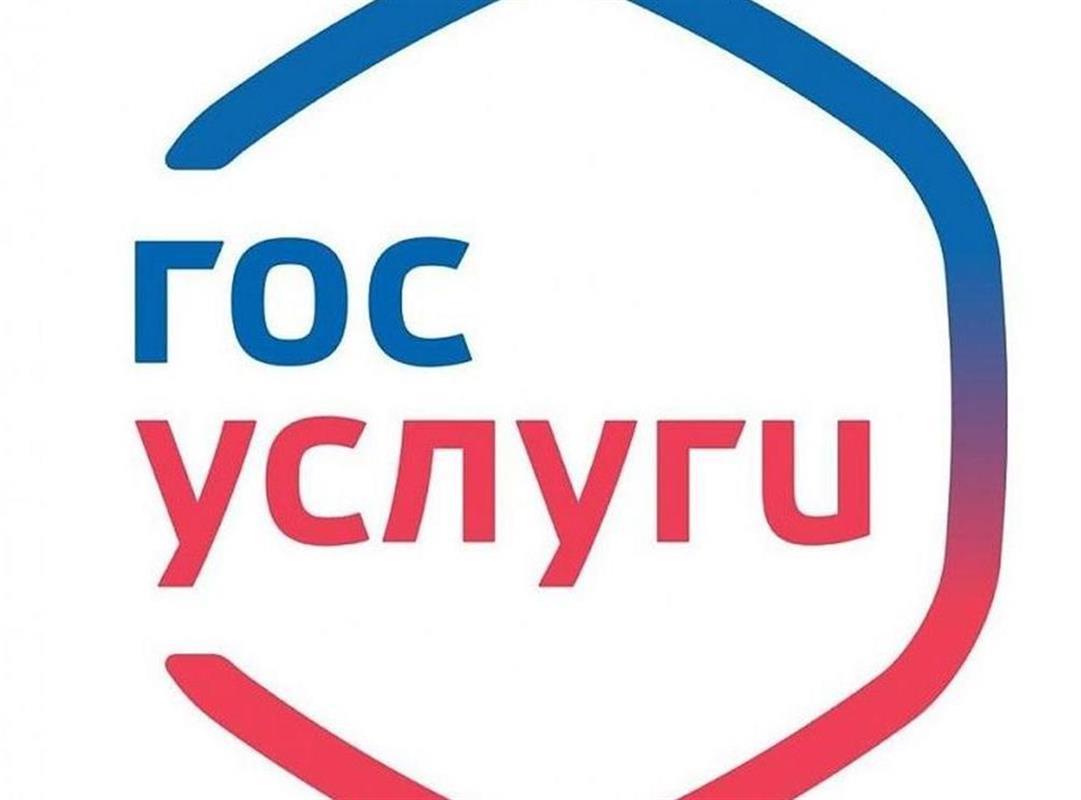 Костромичи смогут получить больше госуслуг в электронном виде