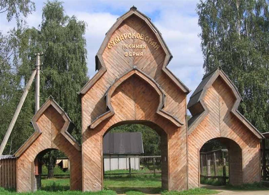 Кострома участвует в конкурсе по развитию экотуризма