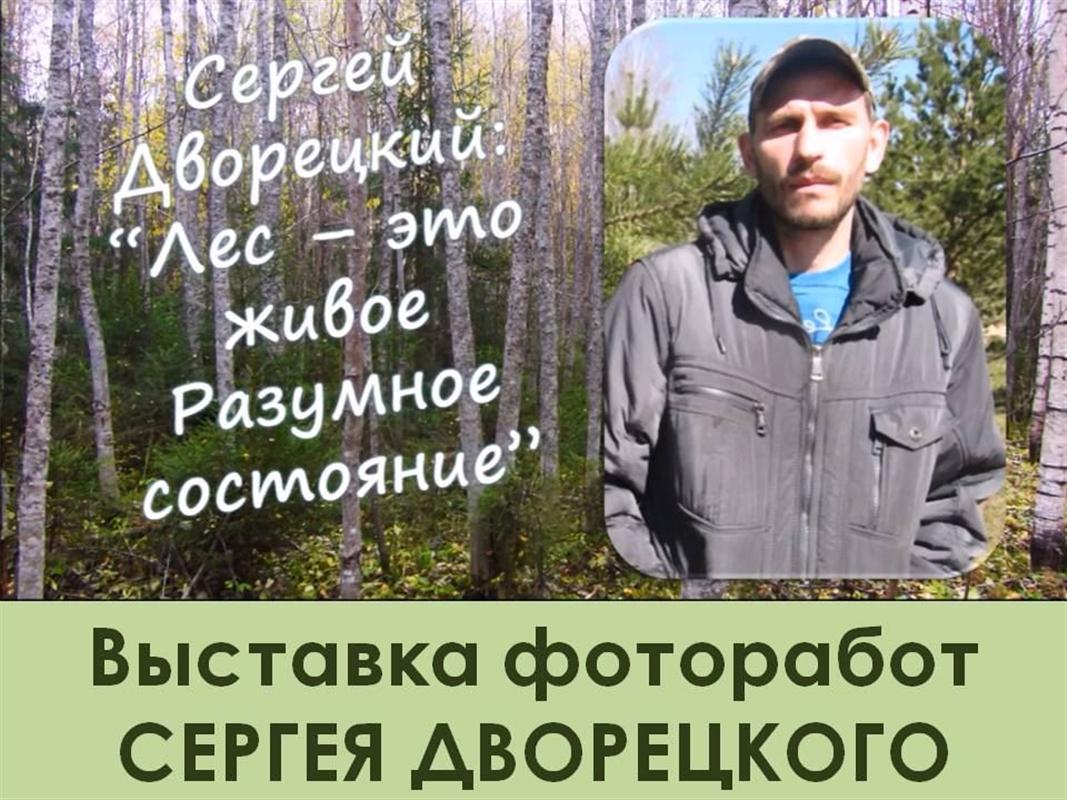 «Лес – это живое Разумное состояние»: открылась добрая виртуальная фотовыставка
