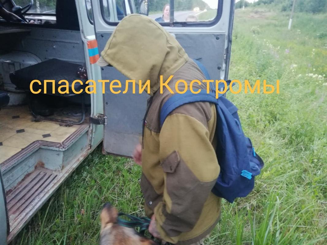 Костромичи заблудились в лесу всей семьей 