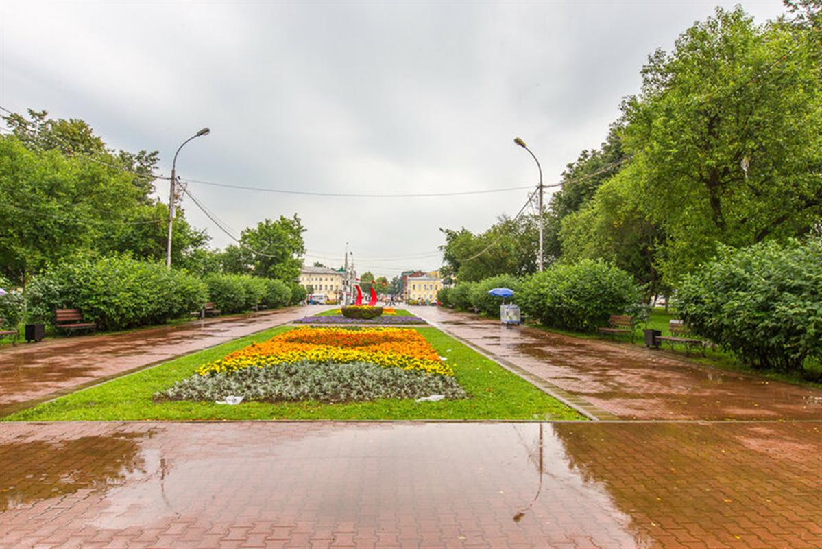 Синоптики обещают целую неделю дождей и гроз