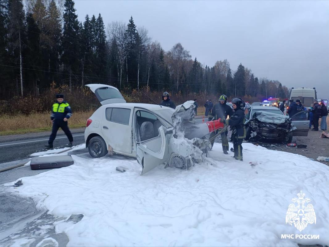 Водители погибли при лобовом столкновении двух иномарок в Костромском районе