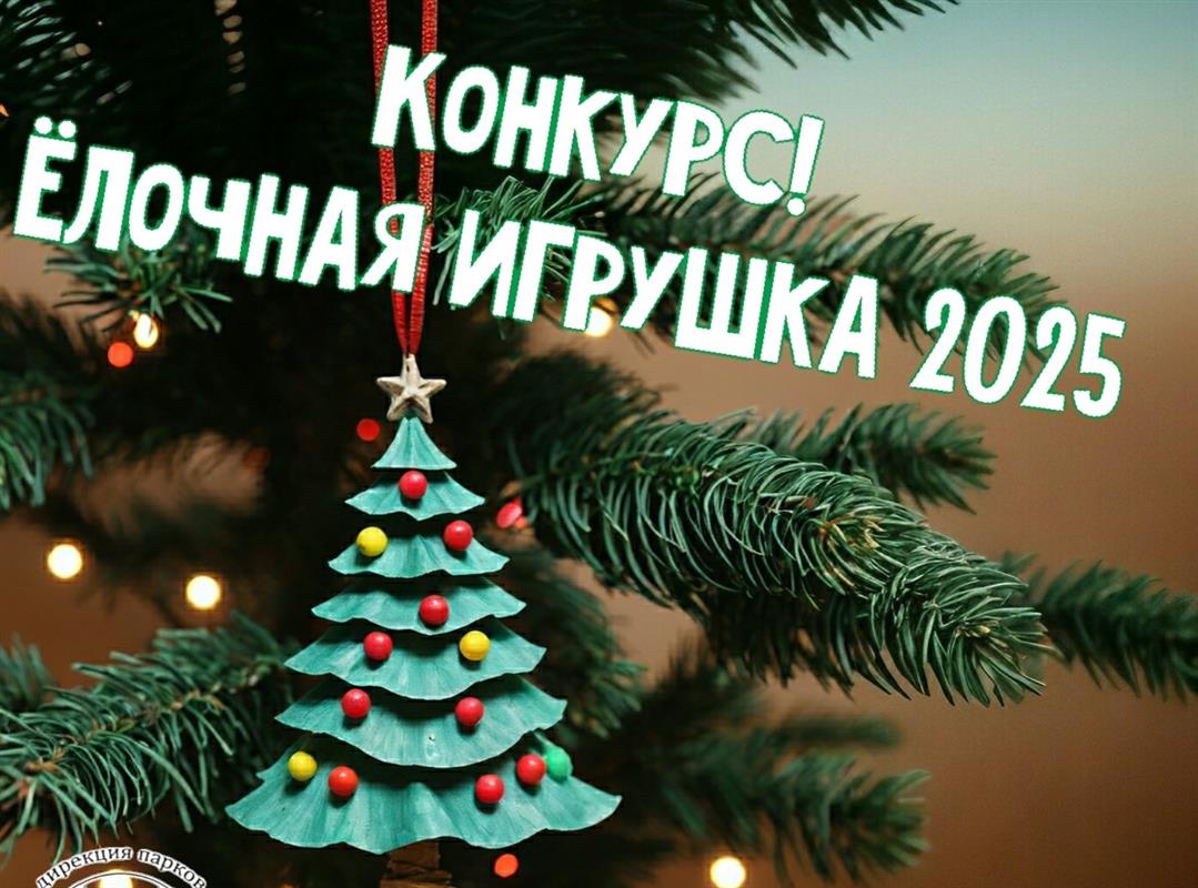 «Дирекция парков Костромы» проводит конкурс на лучшую ёлочную игрушку 